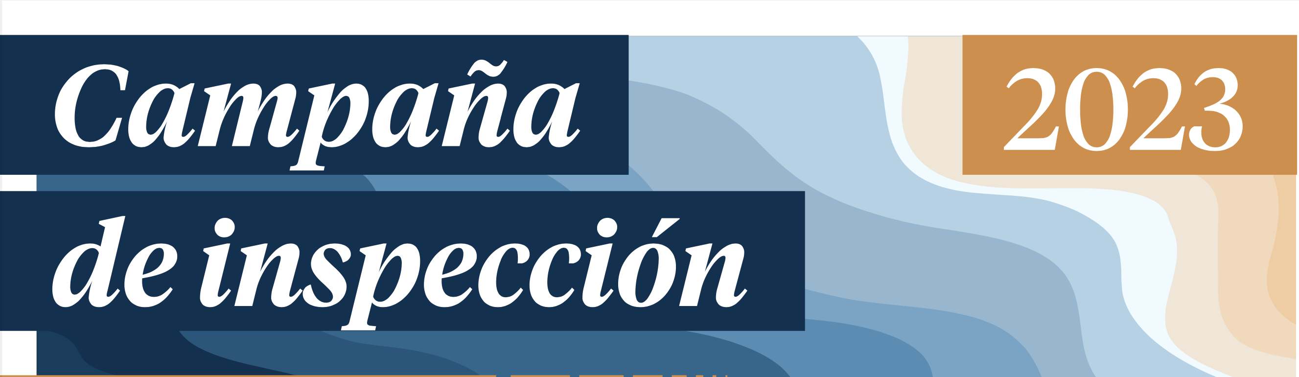 informe campaña centinelas 2023 resultados inspección Coastwatch cantabria residuos marinos